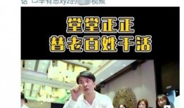 辛巴员工爆料最新,揭秘直播带货背后的惊人内幕